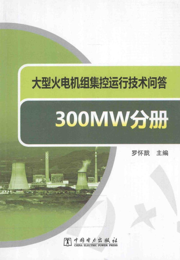 ͻ鼯мʴ300MWֲ [޻ ] 2013